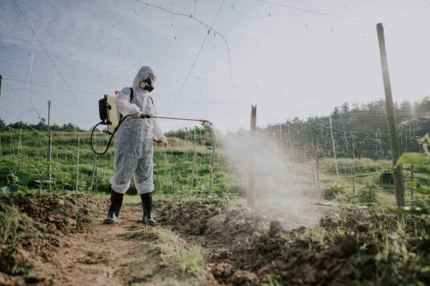 Best Best Pest Control Companies  in Espaola, NM