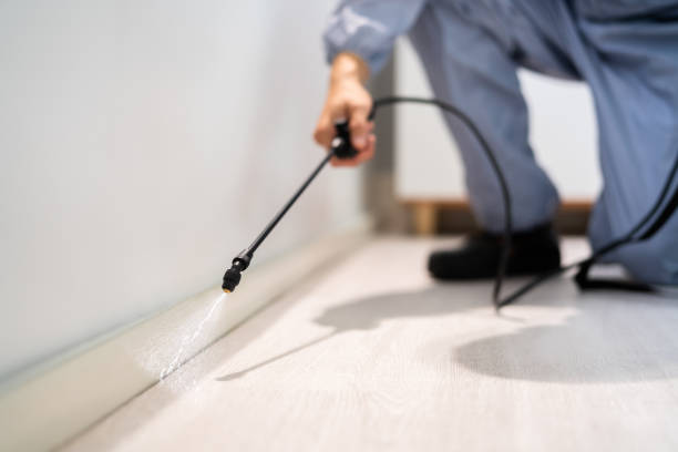 Flea Control Services in Espaola, NM