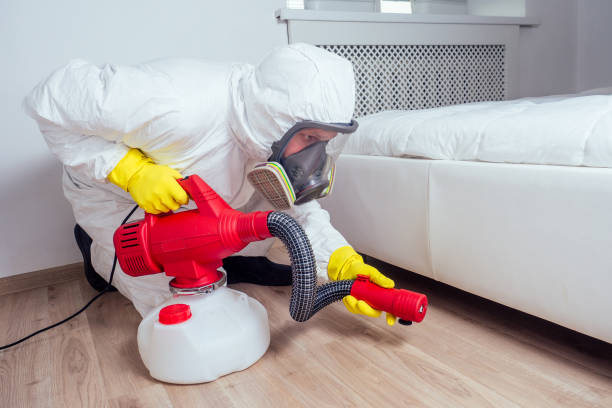 Best Local Pest Control Services  in Espaola, NM