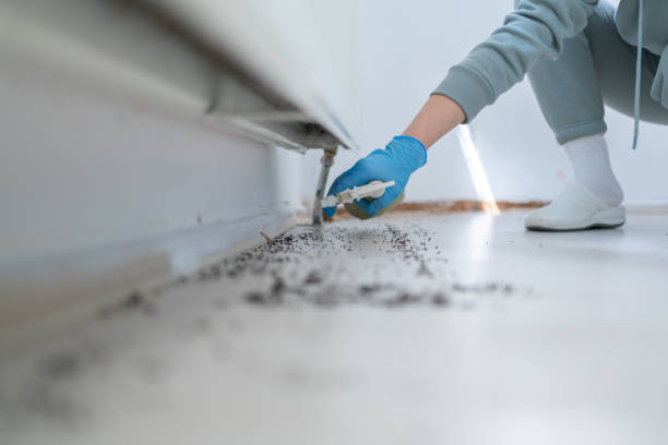 Trusted Espaola, NM Pest Control Experts
