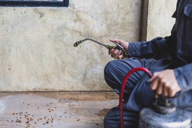 Best Wasp Removal Services  in Espaola, NM